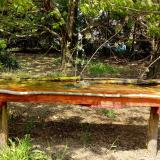 photo 2021-04-25 14-06-08