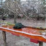 photo 2021-03-21 18-01-45