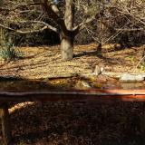 photo 2021-10-25 14-31-50