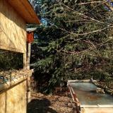 photo 2022-01-12 11-06-19