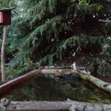 photo 2023-10-10 18-07-46