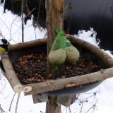 photo 2019-01-10 10-26-04