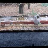 photo 2021-12-10 13-22-30