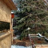 photo 2022-01-09 11-42-22