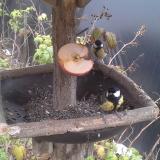 photo 2019-12-05 13-11-08