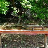 photo 2021-05-15 09-14-25