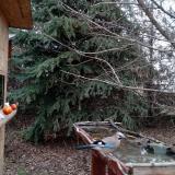 photo 2021-12-15 13-55-54