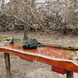 photo 2021-03-25 09-15-23