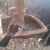 photo 2019-12-19 08-43-09