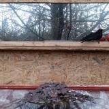 photo 2022-01-20 15-59-37