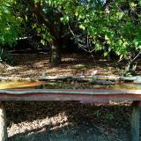 photo 2021-10-04 15-51-57