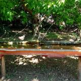 photo 2021-05-10 12-24-54