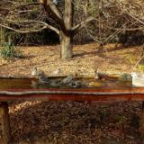 photo 2021-10-26 14-36-30