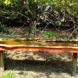 photo 2021-04-21 12-34-05