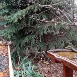 photo 2021-11-13 12-29-00