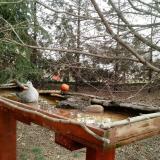 photo 2022-03-17 10-12-57