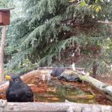 photo 2023-10-10 08-51-30