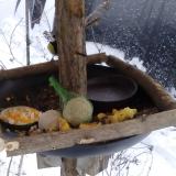 photo 2019-01-22 15-34-00