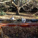 photo 2021-10-25 08-56-18