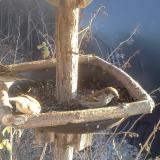 photo 2019-12-30 14-24-14