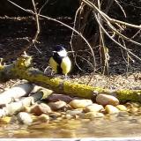 photo 2021-03-11 08-51-04 cinke