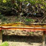 photo 2021-04-21 13-03-07