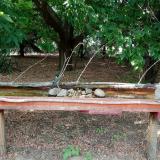 photo 2021-07-13 16-43-59