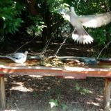 photo 2021-07-21 09-51-30