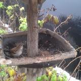 photo 2019-12-02 09-38-18