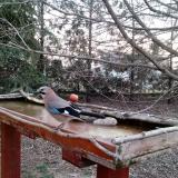 photo 2022-03-05 06-49-30