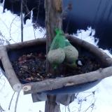 photo 2019-01-10 07-38-35