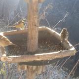 photo 2019-12-30 09-55-19