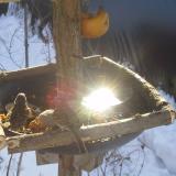 photo 2019-01-27 10-11-21