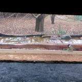 photo 2021-12-07 08-58-29