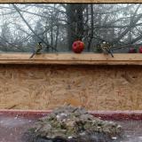 photo 2022-01-16 09-30-44