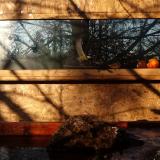 photo 2022-01-24 08-49-18