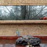 photo 2022-01-31 10-23-05