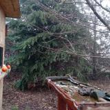 photo 2021-12-16 08-57-56