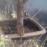 photo 2019-12-25 12-12-11