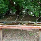 photo 2021-07-02 12-31-08