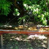 photo 2021-05-21 10-17-14