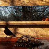 photo 2022-01-24 10-37-57