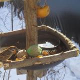 photo 2019-01-27 09-51-57