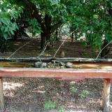 photo 2021-07-13 08-13-28