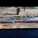 photo 2021-11-30 12-42-18