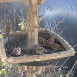 photo 2019-12-24 12-37-34