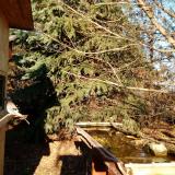 photo 2021-12-13 13-30-26