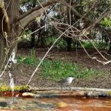 photo 2021-04-13 08-21-08 poszata