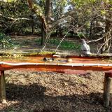 photo 2021-04-10 08-31-49