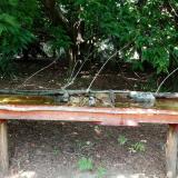 photo 2021-07-26 13-36-06